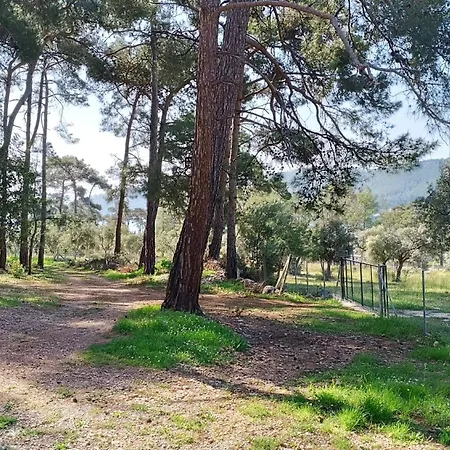 Kardelen * Mugla