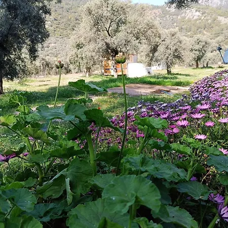 Kardelen Luxury tent *
