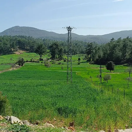 Kardelen * Mugla