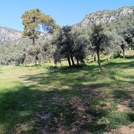 Luxury tent Kardelen Mugla