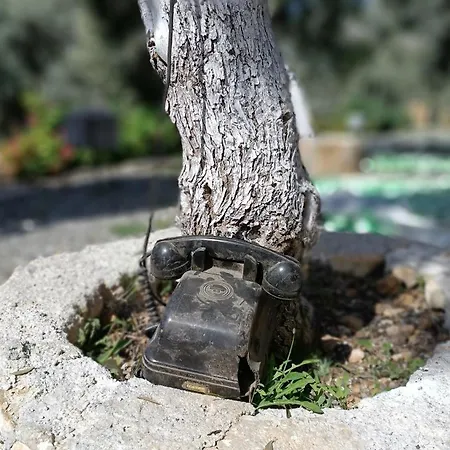 Kardelen Mugla
