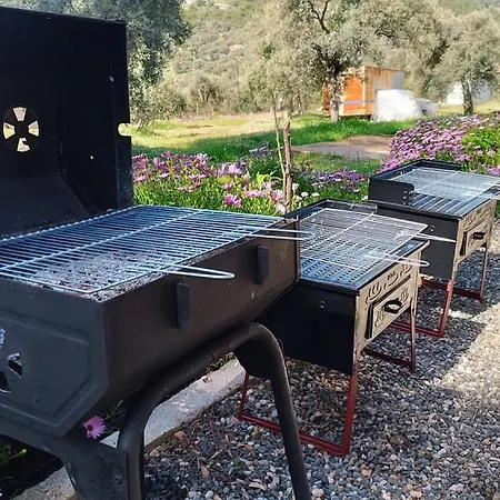 Kardelen * Mugla