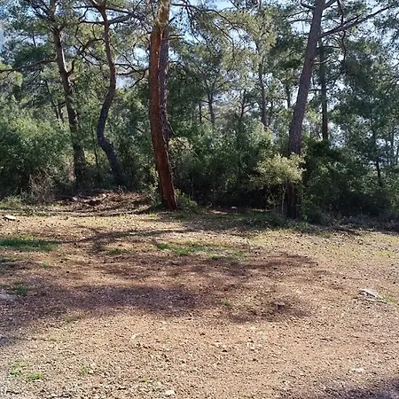 Kardelen Mugla