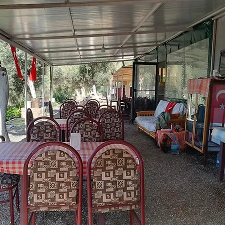 Kardelen * Mugla