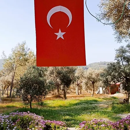 Kardelen Luxury tent