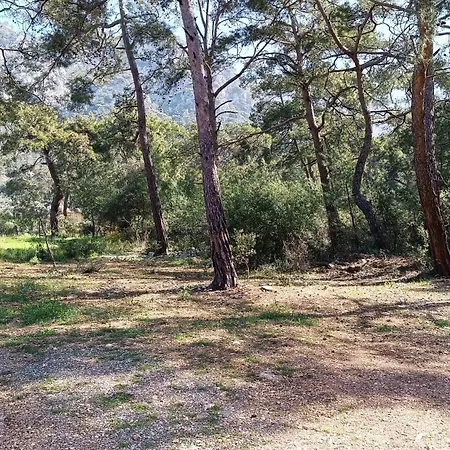 Kardelen Luxury tent