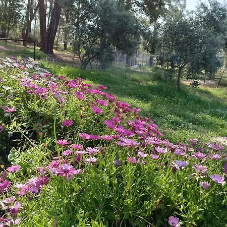 Luksusowy namiot Kardelen Muğla