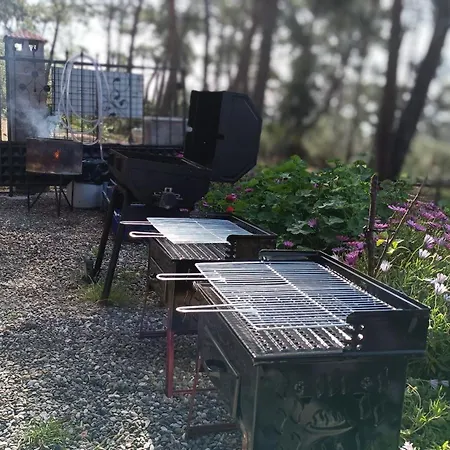 Luksusowy namiot Kardelen