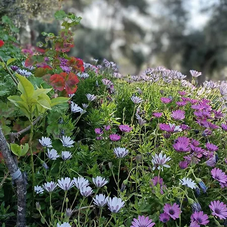 Luksusowy namiot Kardelen Muğla